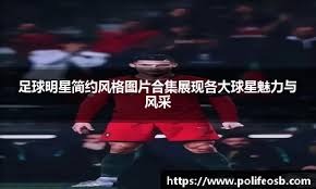 什拉夫戴维