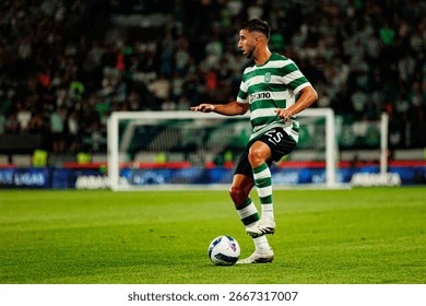 关于征集2025中国大众网球城市挑战赛承办意向的通知